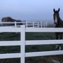 Photo of Hye Pointe Eqestrian Center