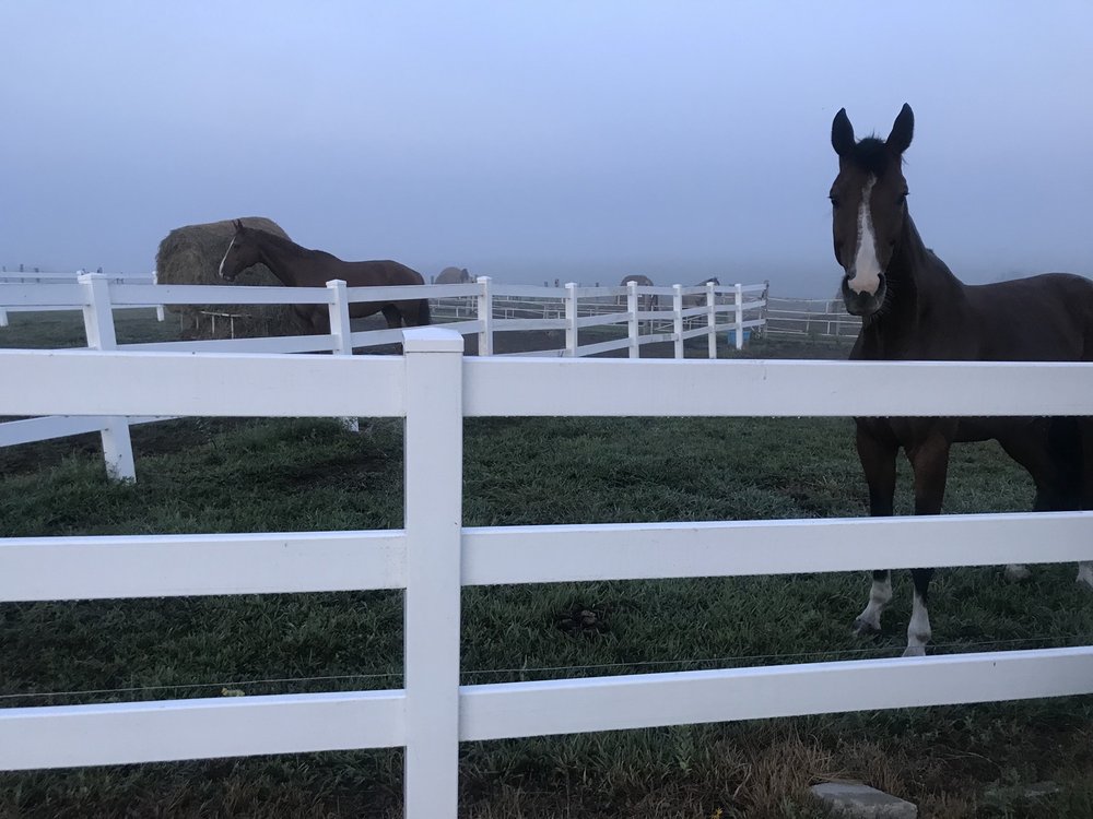 Hye Pointe Eqestrian Center - equestrian in Saint George, KS