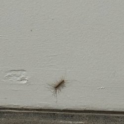 Real Property Management