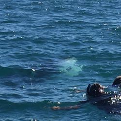 Marlin Adventures