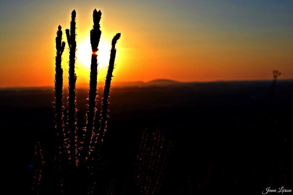 Buffalo Mountain Park