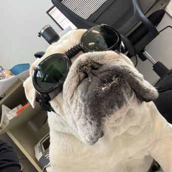 BluePearl Pet Hospital - Veterinarians Near Me - Reno, Nevada BluePearl Pet Hospital - Veterinarians Near Me - Reno, Nevada