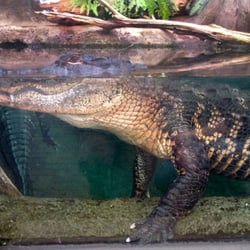 North Carolina Aquarium - Fort Fisher