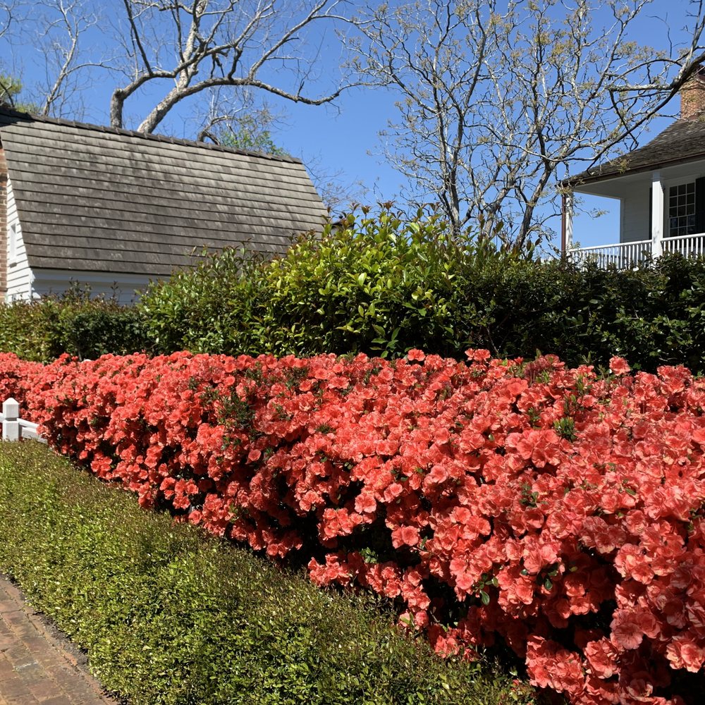 C.W. Worth House Bed and Breakfast - Bed & Breakfast Near Me - Wilmington, North Carolina