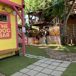 The Dog Bar
