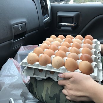 Billy's Egg Farm - Specialty Food Near Me - Chino, California