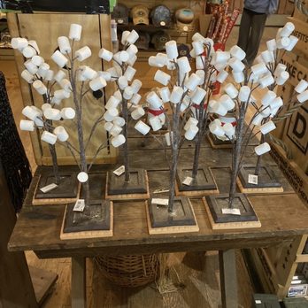 Oconee State Park - Marshmallows Trees. - Parks Near Me - Mountain Rest, South Carolina Oconee State Park - Marshmallows Trees. - Parks Near Me - Mountain Rest, South Carolina
