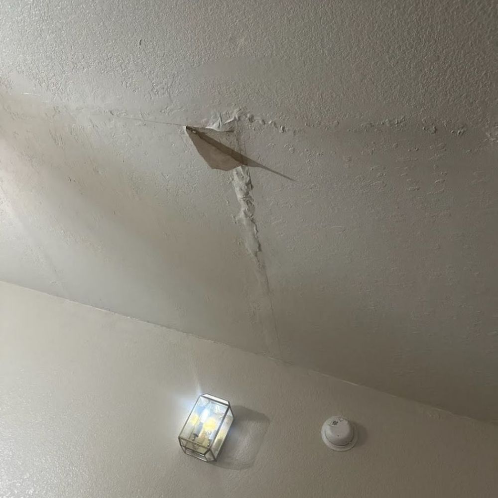 Fran Pro Painting - Painters Near Me Fran Pro Painting - Painters Near Me