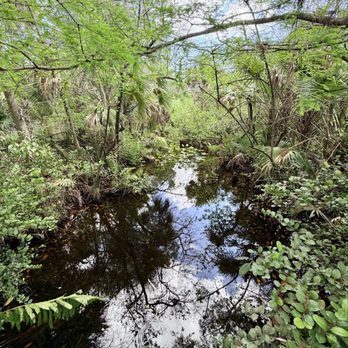 Fern Forest Nature Center - Parks Near Me - Coconut Creek, Florida