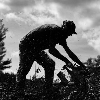 Jones Tree Services - Competitive pricing. - Snow Removal Near Me Jones Tree Services - Competitive pricing. - Snow Removal Near Me