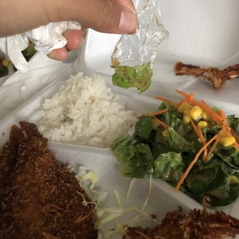 Fusion House - Plastic found in the salad - Asian Fusion Near Me - Kanab, Utah