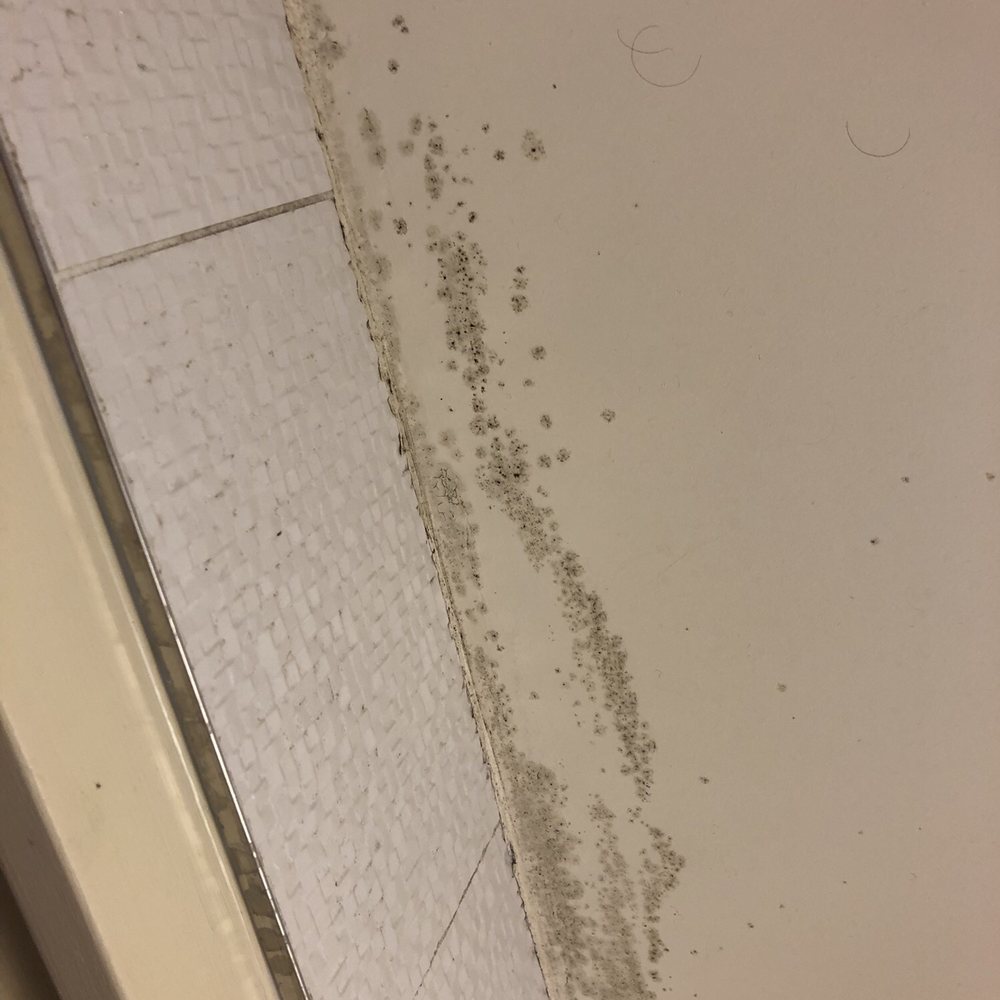 Hôtel des Deux Continents - There was mold everywhere in the bathroom - Hotels Near Me - Paris, 75