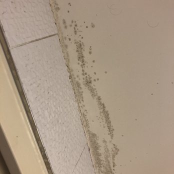 Hôtel des Deux Continents - There was mold everywhere in the bathroom - Hotels Near Me - Paris, 75