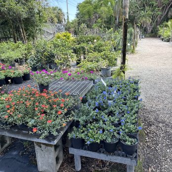 Weatherbee Nursery - Nurseries & Gardening Near Me - Fort Pierce, Florida Weatherbee Nursery - Nurseries & Gardening Near Me - Fort Pierce, Florida