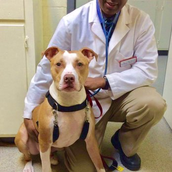 Upper Marlboro Veterinary Hospital - Dr. Mesfin and his team are wonderful! I swear my pup makes up reasons to come see them every month, lol! - Veterinarians Near Me - Upper Marlboro, Maryland Upper Marlboro Veterinary Hospital - Dr. Mesfin and his team are wonderful! I swear my pup makes up reasons to come see them every month, lol! - Veterinarians Near Me - Upper Marlboro, Maryland