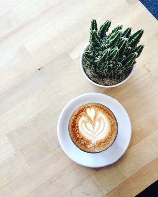 Little Victories Coffee Roasters - Glebe by null