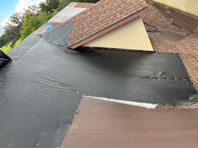 Slide of Blue Tarp Express