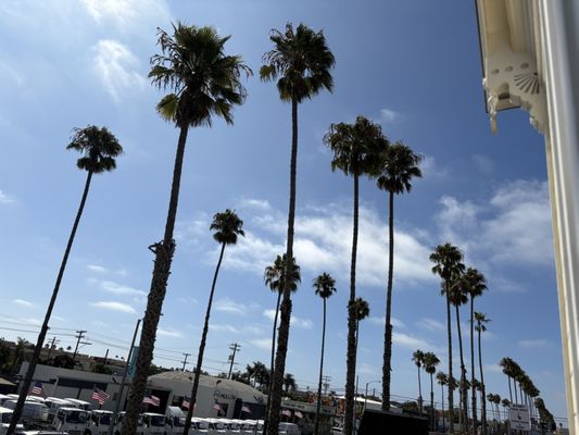 The Victorian at Hill Street by null