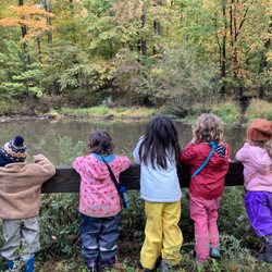 Green Meadow Waldorf School