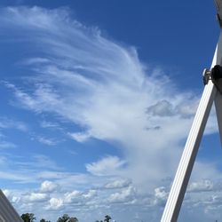 Cruise The Neuse Boat Tours - Stunning views