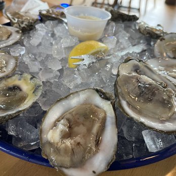 Shuck Me - Already shucked and ready to consume gulf oysters - Seafood Near Me - Broken Bow, Oklahoma Shuck Me - Already shucked and ready to consume gulf oysters - Seafood Near Me - Broken Bow, Oklahoma