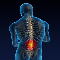 Wilber Physical Therapy