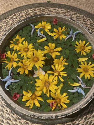 The Farm At San Benito by null