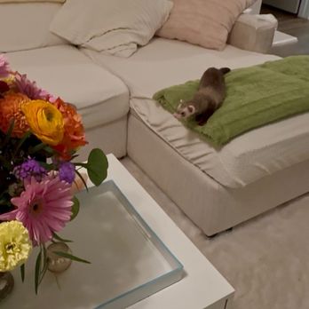 Danny's Flower Market - Florists Near Me - Richmond, Virginia
