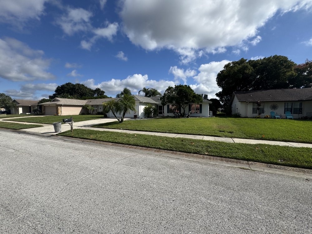 LawnSmith Property Maintenance - veterans service organization in Holiday, FL