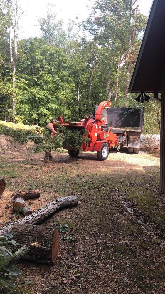 M & E EXCAVATION AND TREE SERVICE Updated July 2024 Harrison