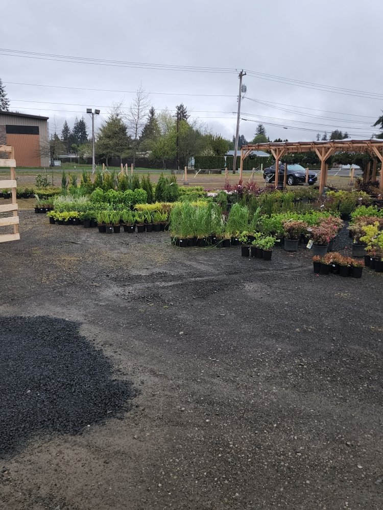 GARDEN TIME NURSERY Updated August 2024 2 Schouweiler Tract Rd W, Elma, Washington