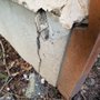 Photo of Canadian Foundation Repair