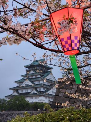 Osaka Castle by null