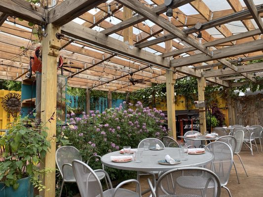 Maya Del Sol by null