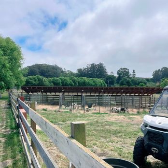 Harley Farms - Cheese Shops Near Me - Pescadero, California Harley Farms - Cheese Shops Near Me - Pescadero, California