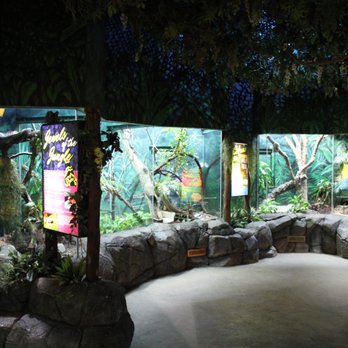 Cameron Park Zoo - Zoos Near Me - Waco, Texas Cameron Park Zoo - Zoos Near Me - Waco, Texas