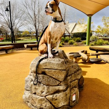 Bonafide K9 Dog Training - Pet Training Near Me Bonafide K9 Dog Training - Pet Training Near Me