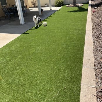 Terra Crew Turf - Yes, even the dog loves it! - Artificial Turf Near Me Terra Crew Turf - Yes, even the dog loves it! - Artificial Turf Near Me