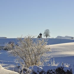 Ayurvedicus - Winter in Oberreute - ein Blick in den Garten