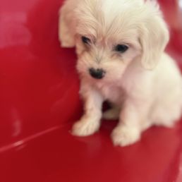 My baby!! My baby!!