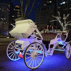 Blue Ribbon Carriages - Our first class horse-drawn carriages now feature light displays!  Ride in style as you experience the city.