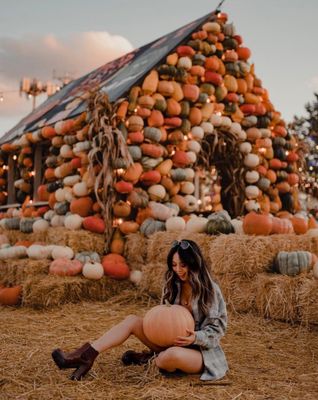 Jack's Pumpkin Pop-up by null