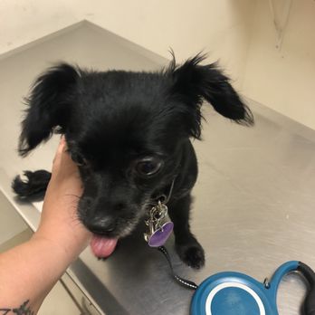 Perris Valley Veterinary Clinic - Veterinarians Near Me - Perris, California Perris Valley Veterinary Clinic - Veterinarians Near Me - Perris, California