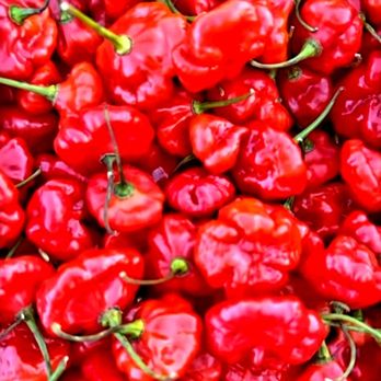 Eckerton Hill Farm - Pepper's!! Summer is not over yet! - 9/14/2025 - Farmers Market Near Me - Fleetwood, Pennsylvania