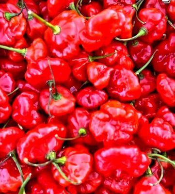 Eckerton Hill Farm by null