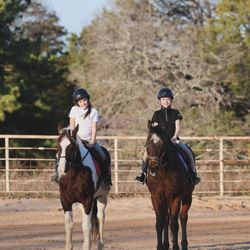 RH Equestrian - Group riding lessons