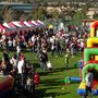 My Little Carnival