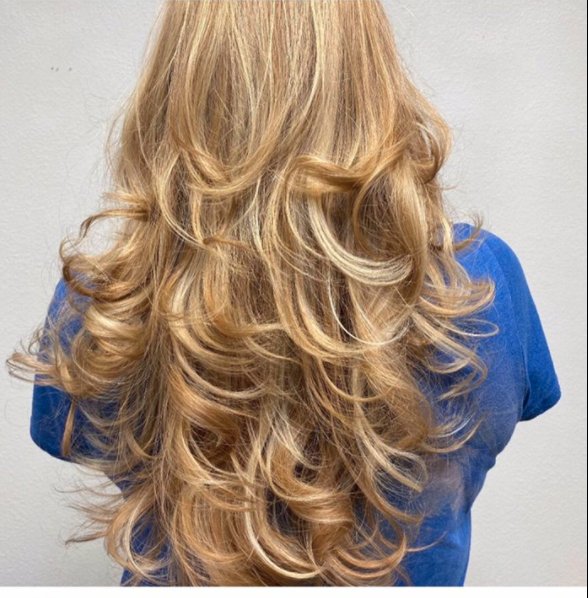 An Expert color and cut Logo