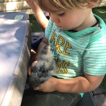 Young Explorers Preschool - Preschools Near Me - Castaic, California Young Explorers Preschool - Preschools Near Me - Castaic, California