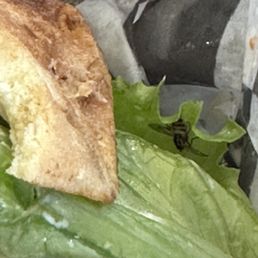 Bug in food Bug in food
